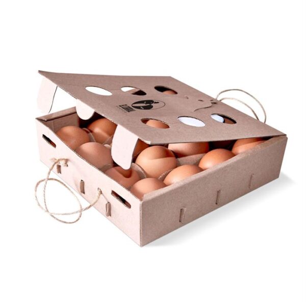 caja para huevos porta huevos caja packing alimentos