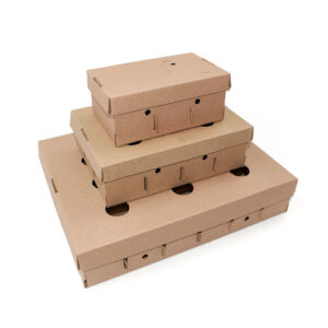 Caja Portahuevos - Jhon Cooper, Lima- Perú