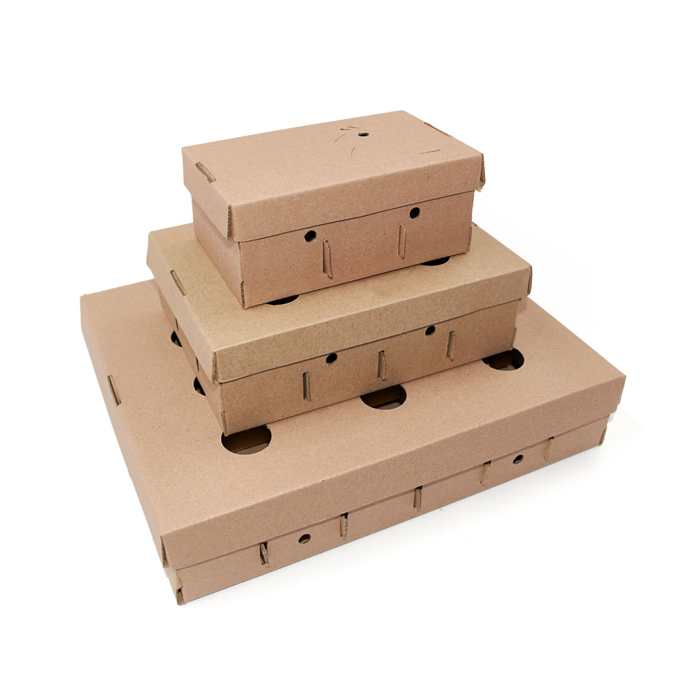Caja Portahuevos - Jhon Cooper, Lima- Perú