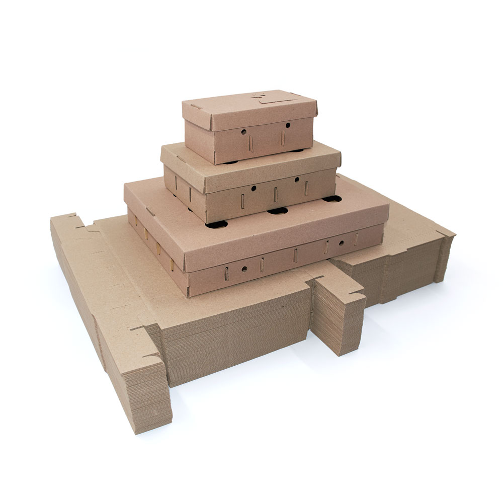 Caja para Huevos - Jhon Cooper, Lima- Perú