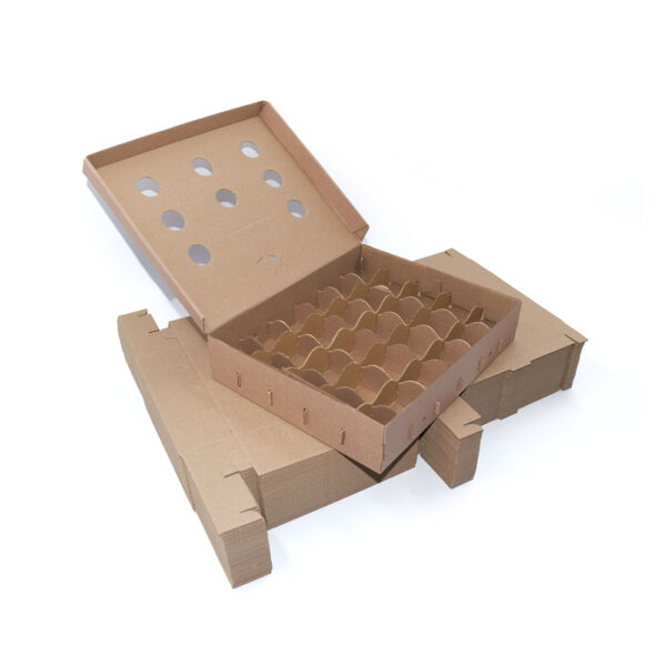Caja para Huevos - Jhon Cooper, Lima- Perú