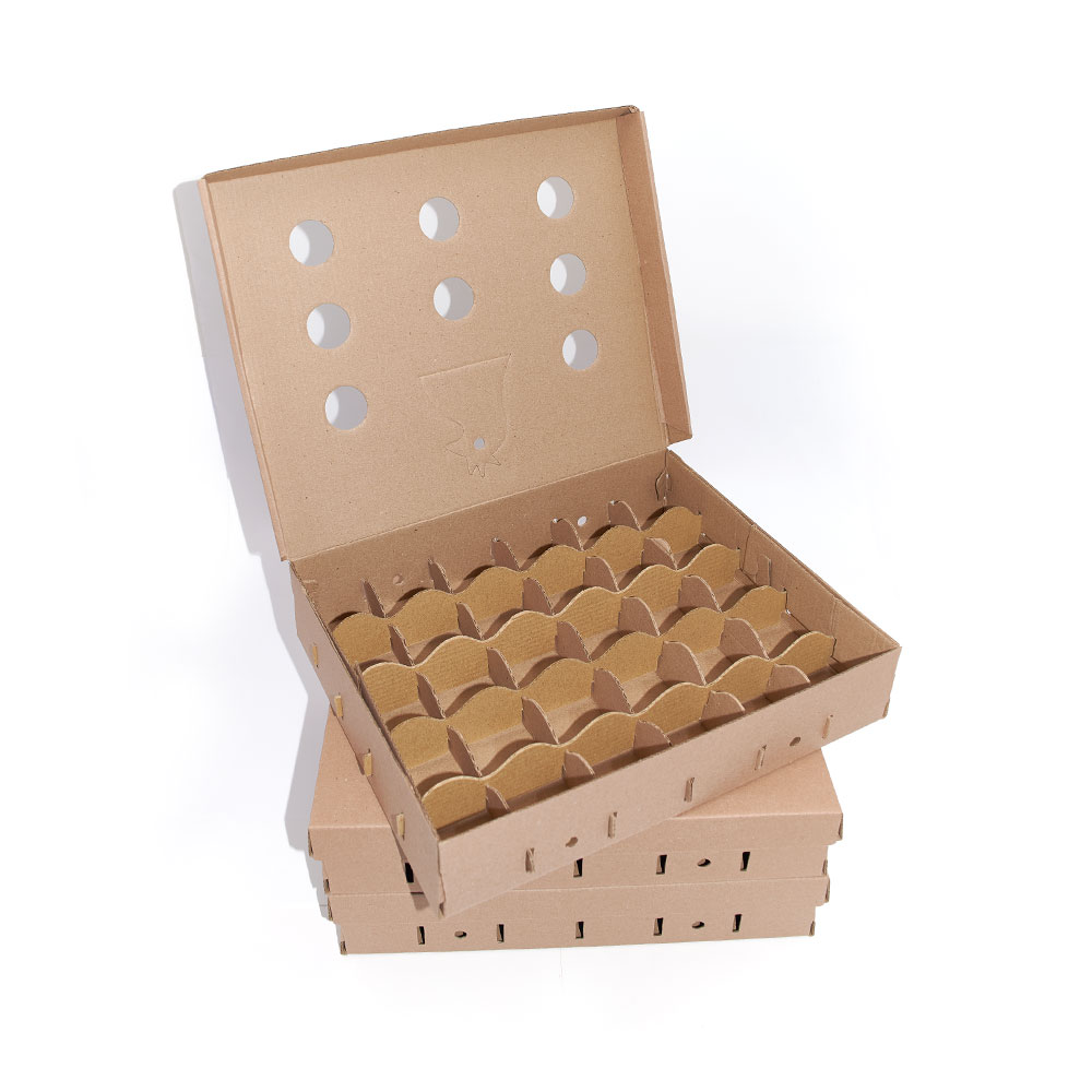 Caja para Huevos - Jhon Cooper, Lima- Perú