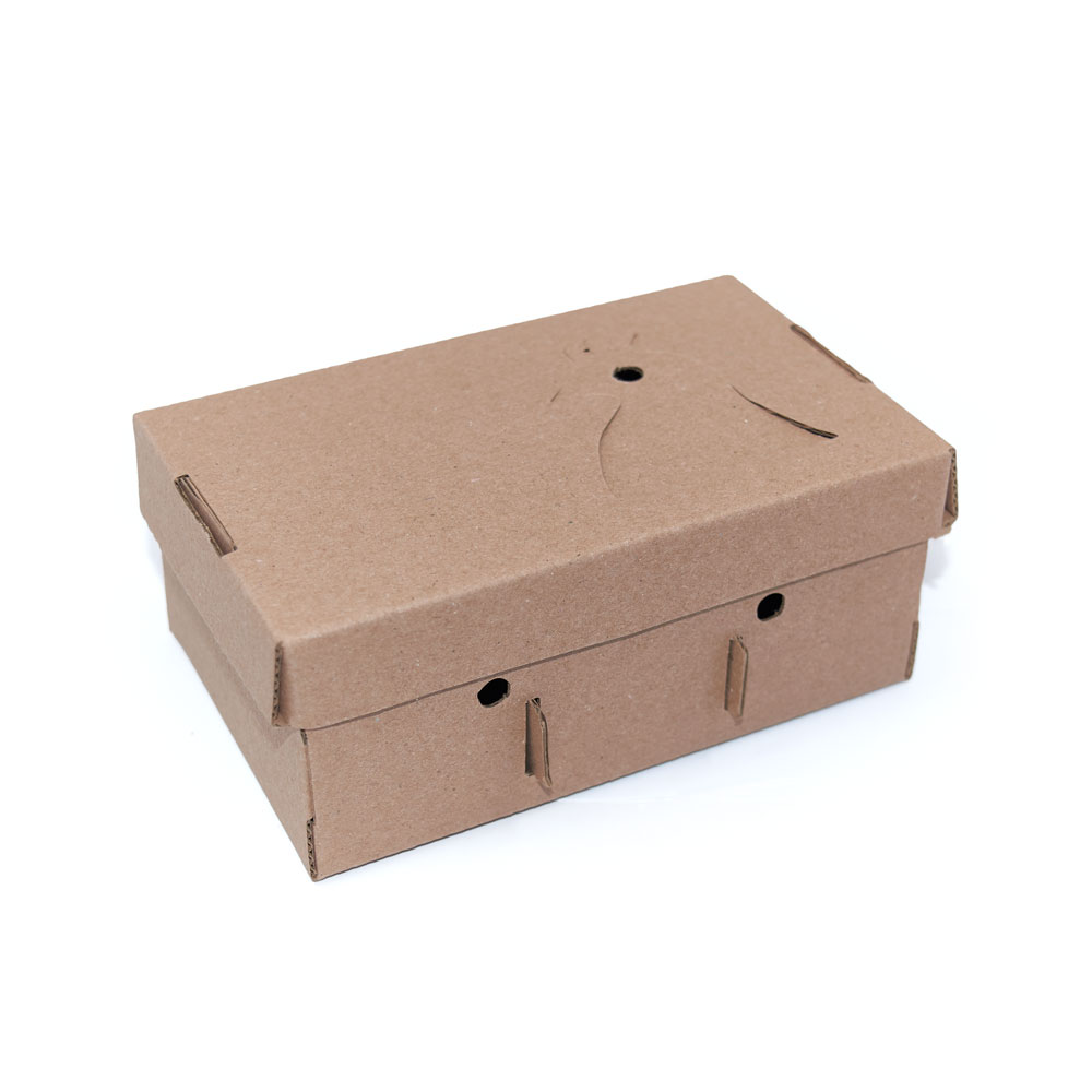 Caja para Huevos - Jhon Cooper, Lima- Perú